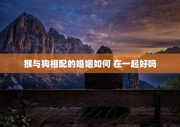 猴与狗相配的婚姻如何 在一起好吗