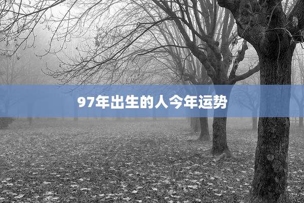 97年出生的人今年运势
