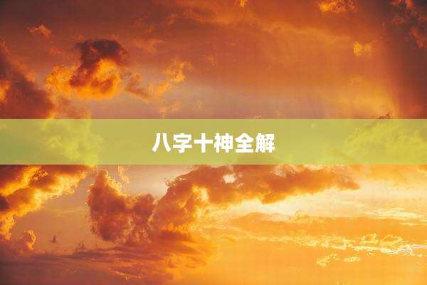 八字十神全解