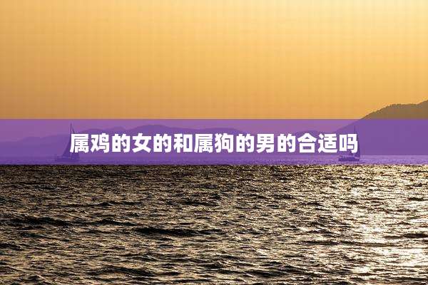 属鸡的女的和属狗的男的合适吗