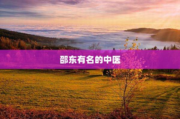 邵东有名的中医