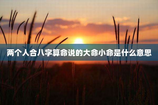 两个人合八字算命说的大命小命是什么意思