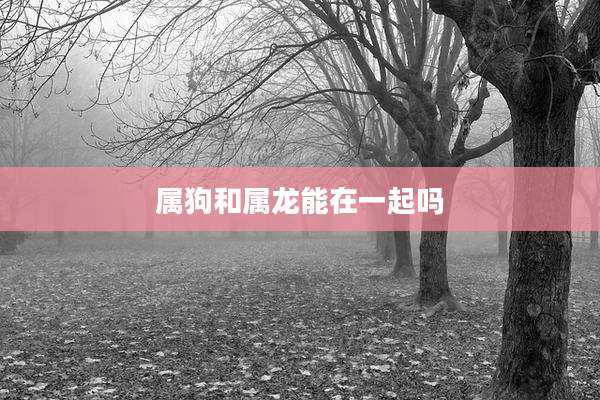 属狗和属龙能在一起吗