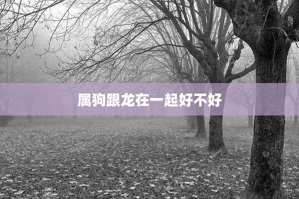属狗跟龙在一起好不好