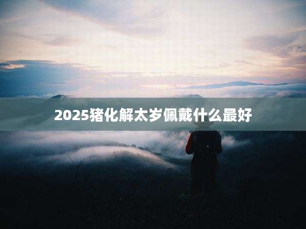 2025猪化解太岁佩戴什么最好