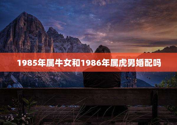 1985年属牛女和1986年属虎男婚配吗