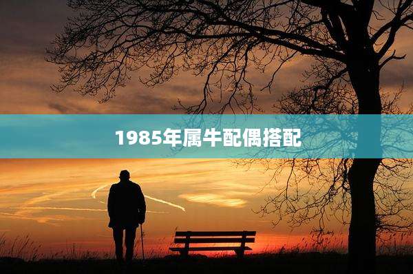 1985年属牛配偶搭配