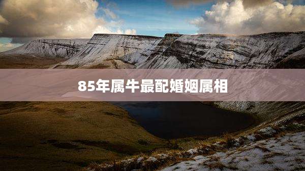 85年属牛最配婚姻属相