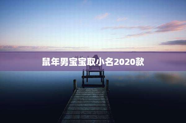 鼠年男宝宝取小名2020款