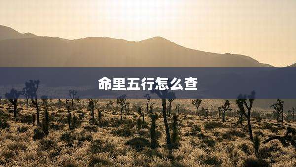 命里五行怎么查
