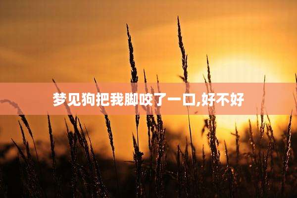 梦见狗把我脚咬了一口,好不好