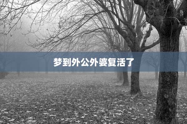 梦到外公外婆复活了