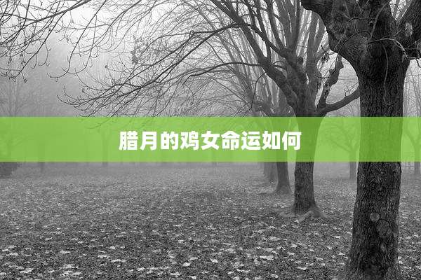 腊月的鸡女命运如何