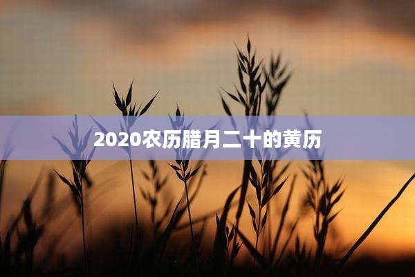 2020农历腊月二十的黄历