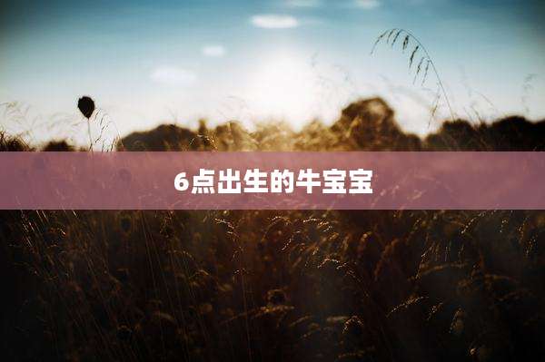 6点出生的牛宝宝