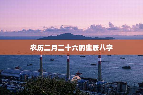 农历二月二十六的生辰八字
