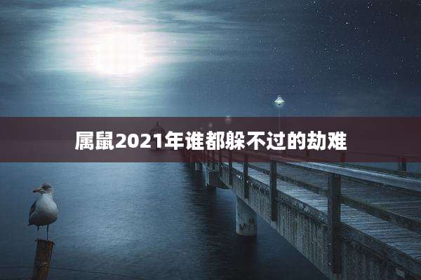 属鼠2021年谁都躲不过的劫难