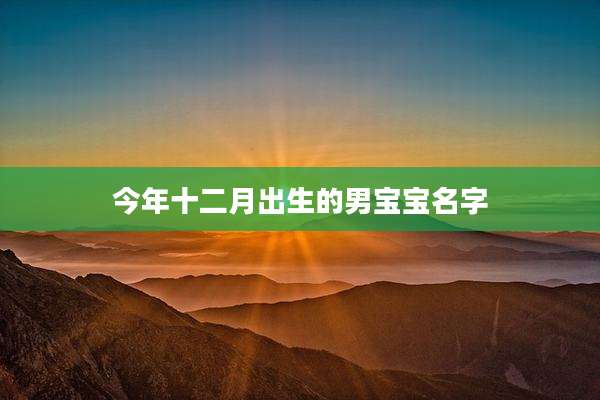 今年十二月出生的男宝宝名字
