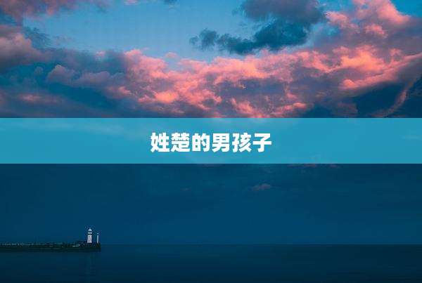 姓楚的男孩子