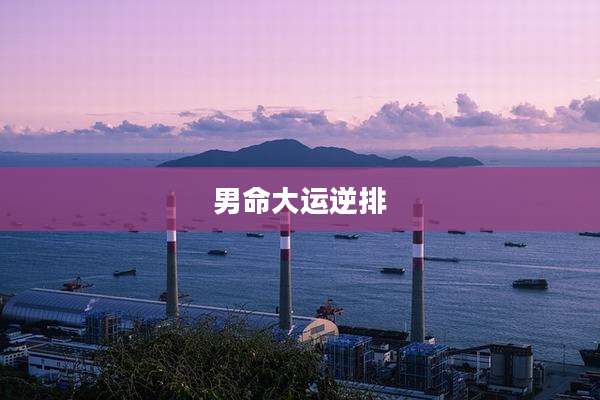 男命大运逆排