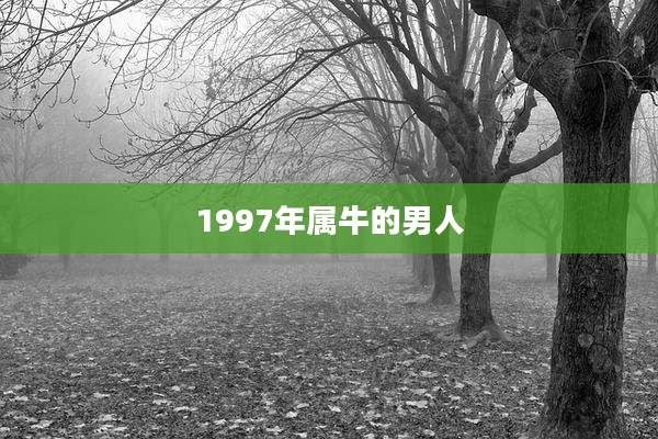 1997年属牛的男人