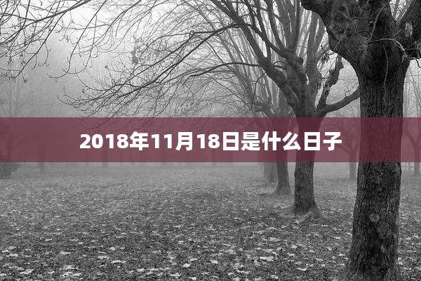 2018年11月18日是什么日子