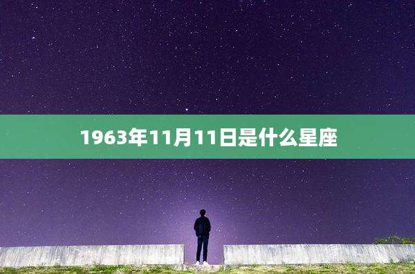 1963年11月11日是什么星座