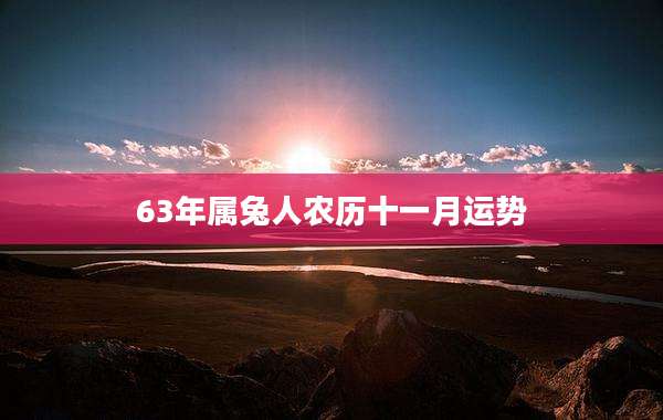 63年属兔人农历十一月运势