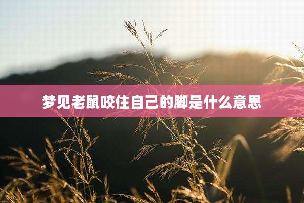 梦见老鼠咬住自己的脚是什么意思