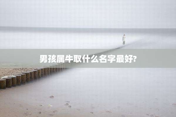 男孩属牛取什么名字最好?