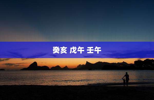 癸亥 戊午 壬午