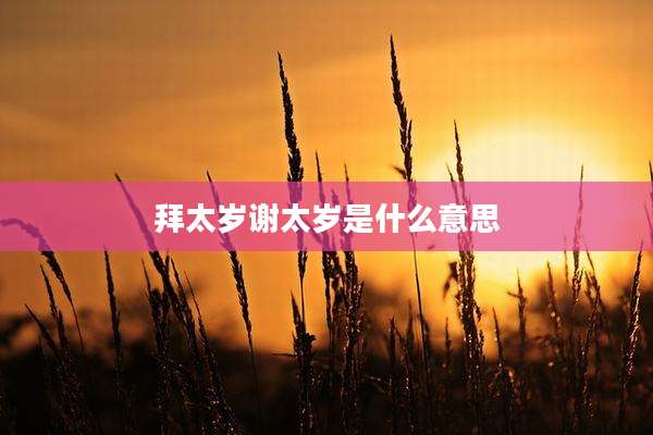 拜太岁谢太岁是什么意思