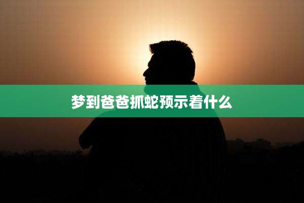 梦到爸爸抓蛇预示着什么