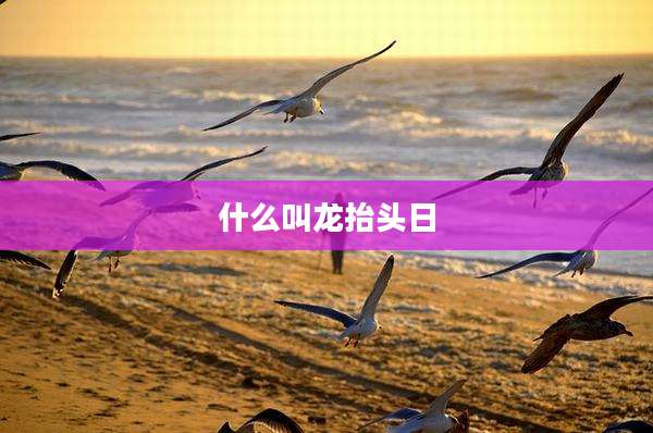什么叫龙抬头日