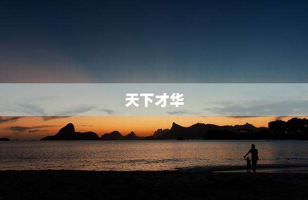 天下才华