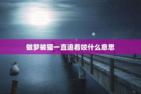 做梦被猫一直追着咬什么意思