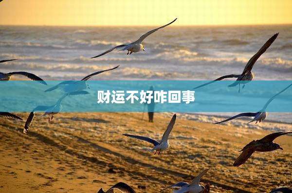 财运不好咋回事