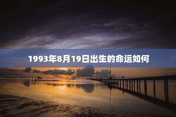 1993年8月19日出生的命运如何
