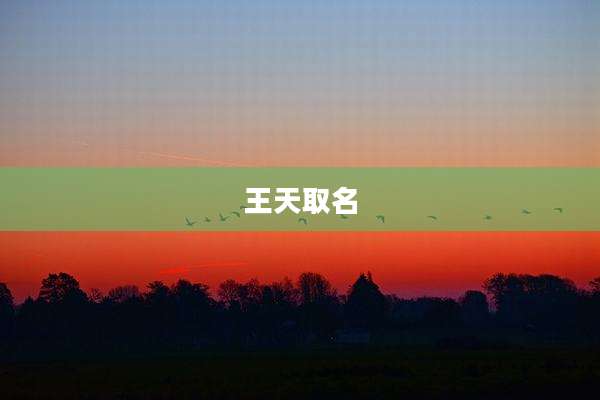 王天取名