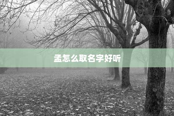 孟怎么取名字好听