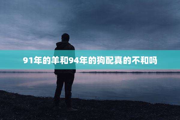 91年的羊和94年的狗配真的不和吗