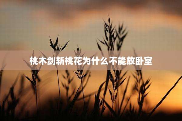 桃木剑斩桃花为什么不能放卧室