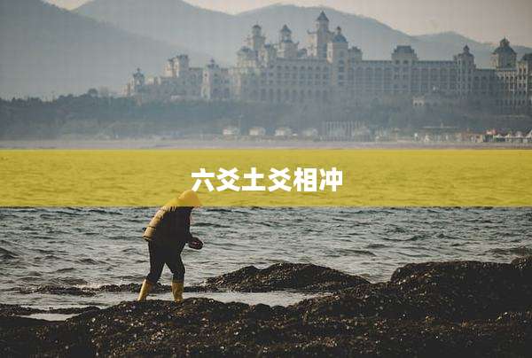 六爻土爻相冲