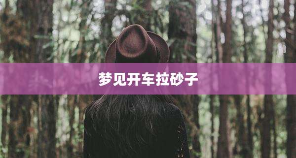 梦见开车拉砂子