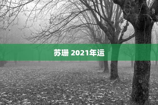 苏珊 2021年运