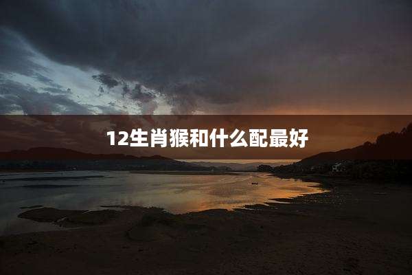 12生肖猴和什么配最好