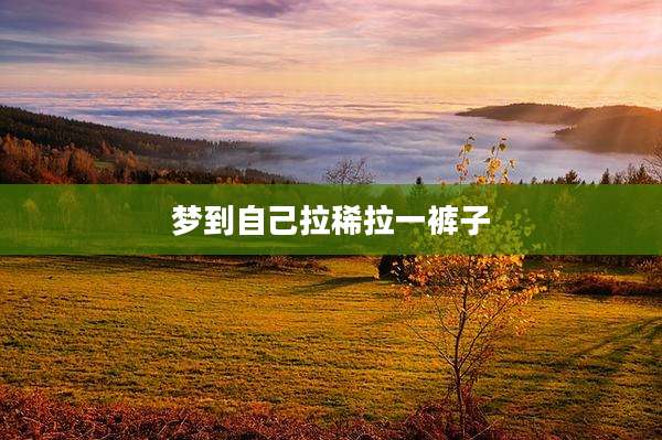 梦到自己拉稀拉一裤子