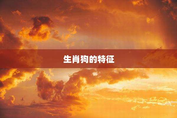 生肖狗的特征