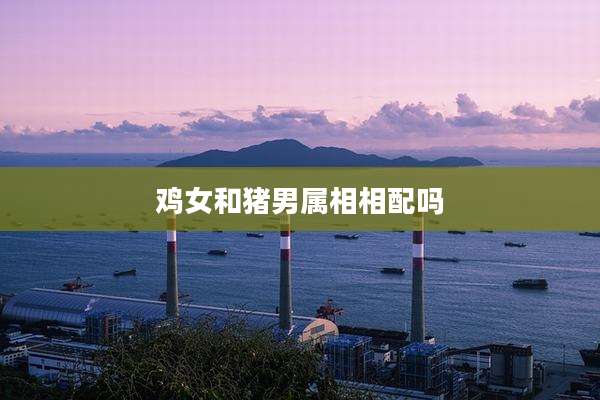 鸡女和猪男属相相配吗