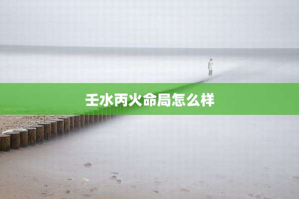 壬水丙火命局怎么样